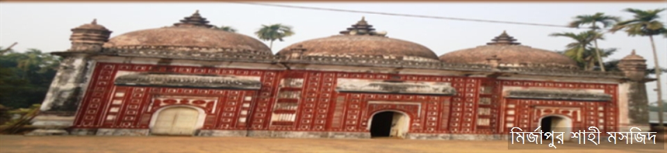 মির্জাপুর শাহী মসজিদ