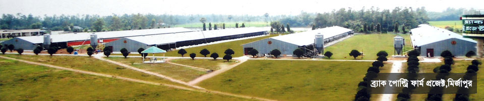 ব্র্যাক পোল্ট্রি ফার্ম প্রজেক্ট,মির্জাপুর,শেরপুর,বগুড়া।