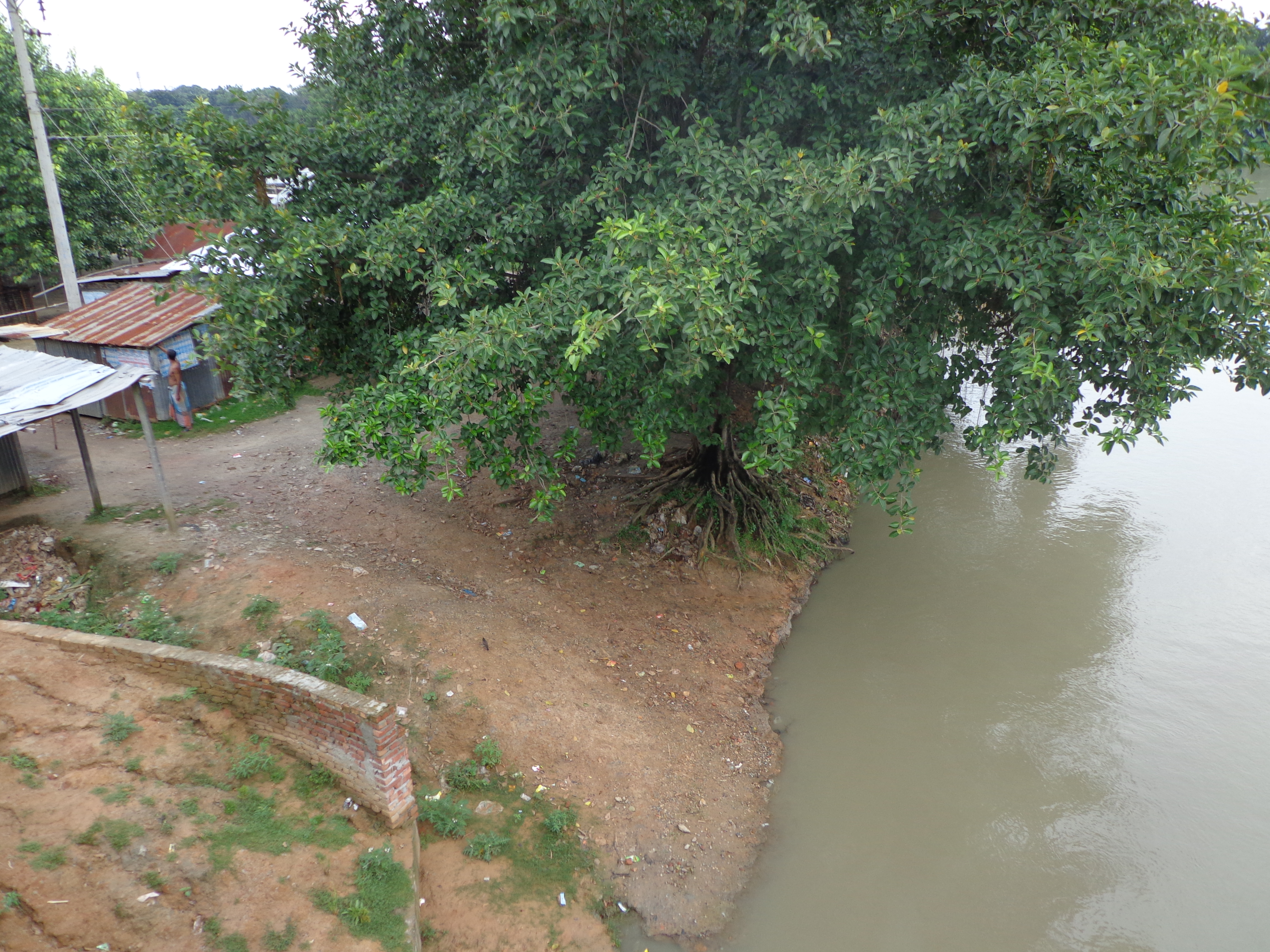 ব্যানার