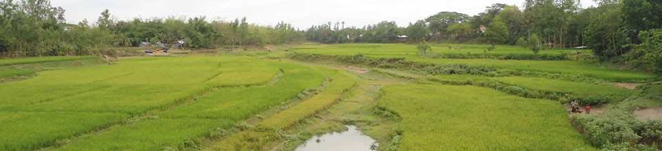 নদী