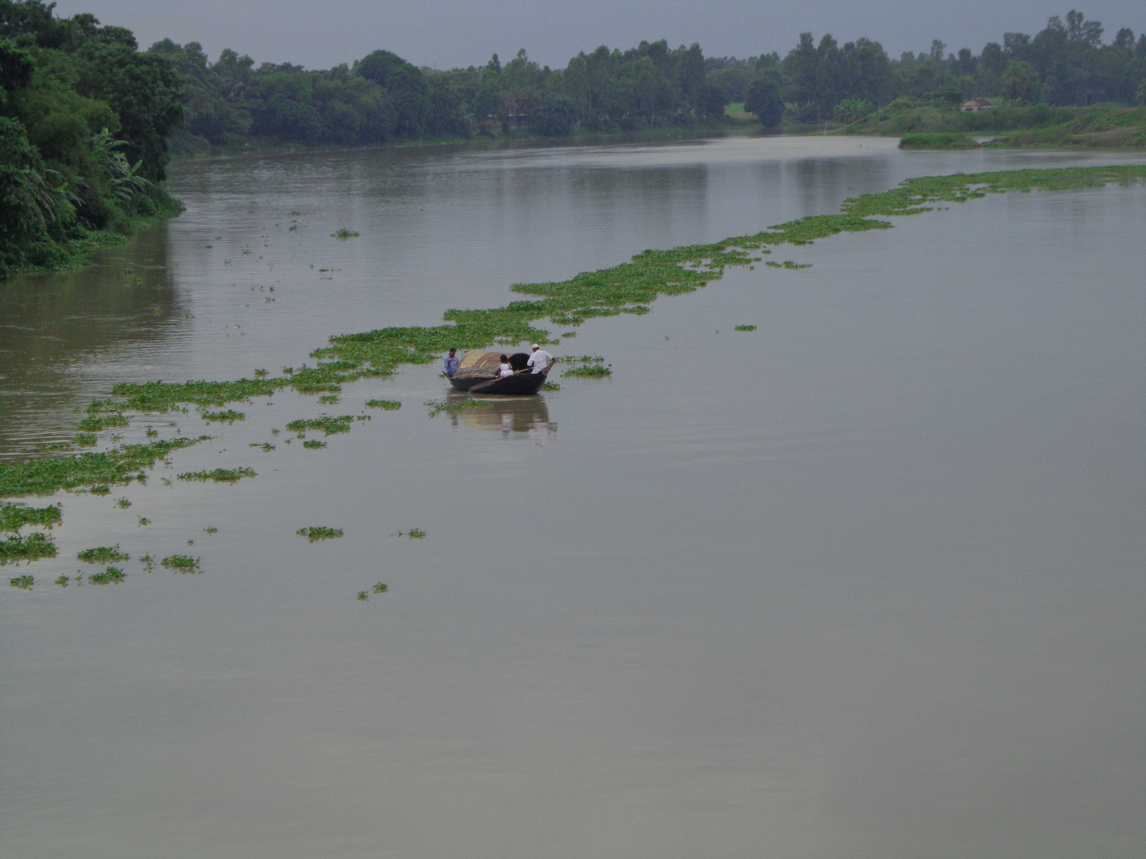 ব্যানার
