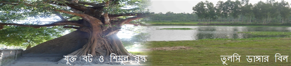 পুরাতন বটবৃক্ষ ও ঐতিহ্যবাহী বিল।