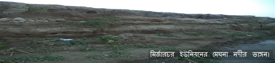 মির্জার চর ইউনিয়নের মেঘনা নদীর ভাঙ্গন।