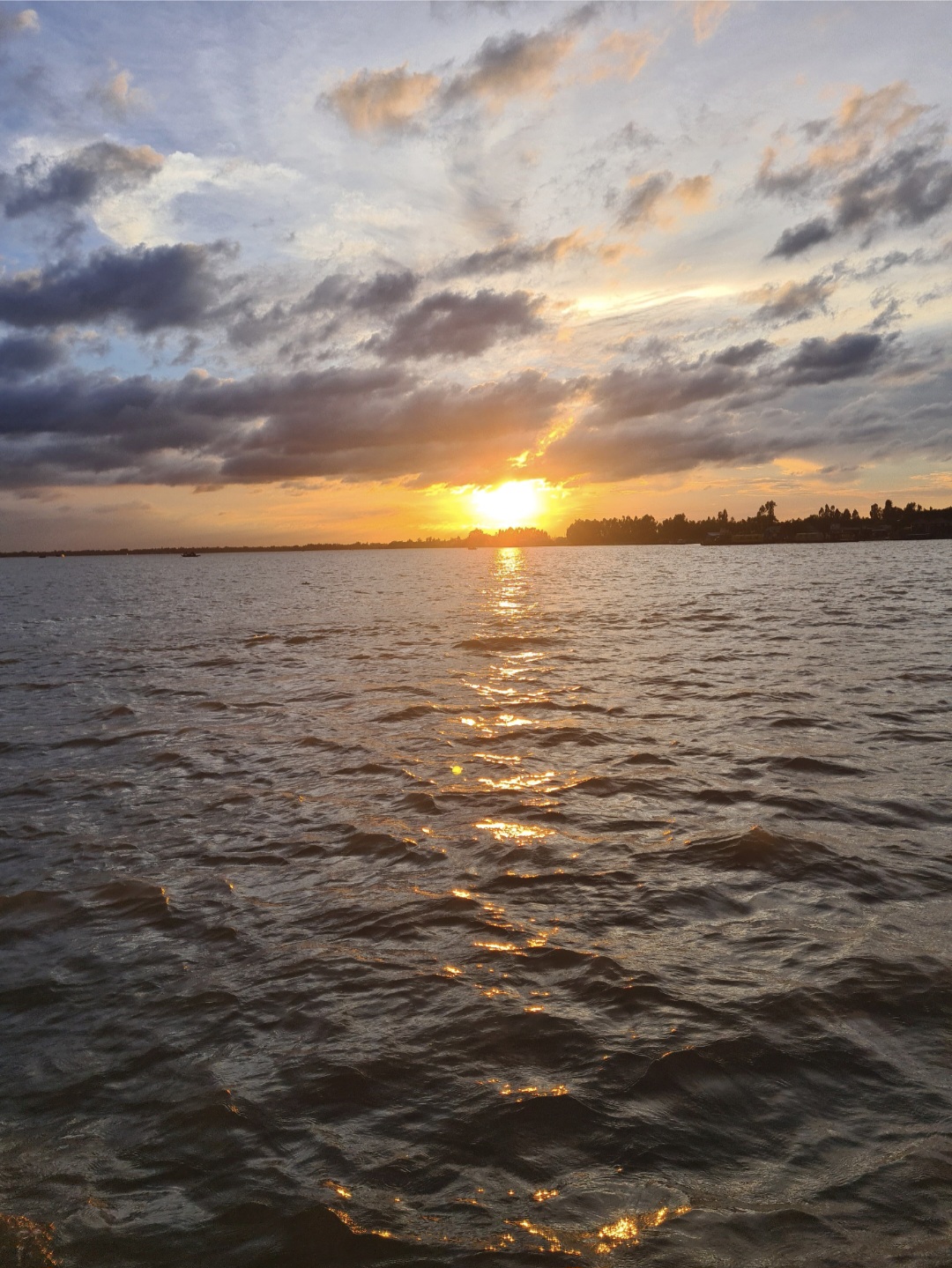 ফটো গ্যালারী