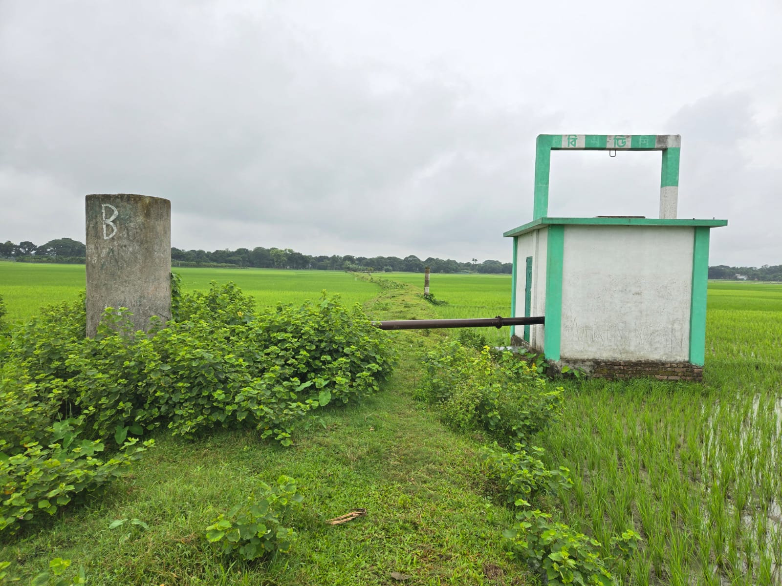 বিএডিসি গণকূ