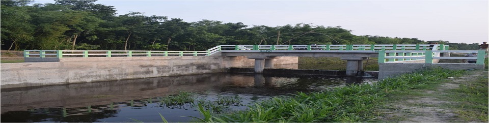 প্রকল্পের মাধ্যমে হাইড্রোলিক স্ট্রাকচার নির্মাণ