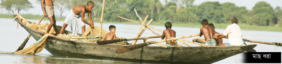 মাছ ধরা
