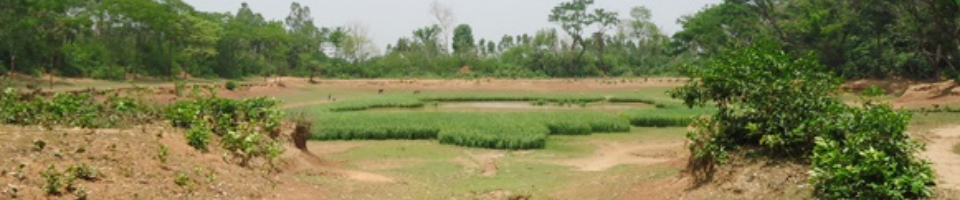 বাঘের দিঘী