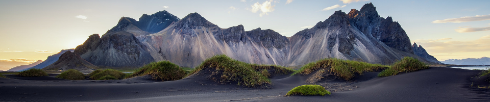 ব্যানার