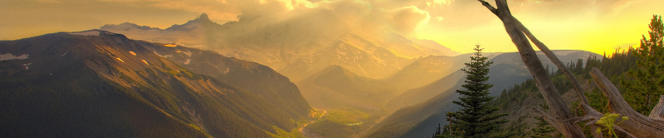 ব্যানার