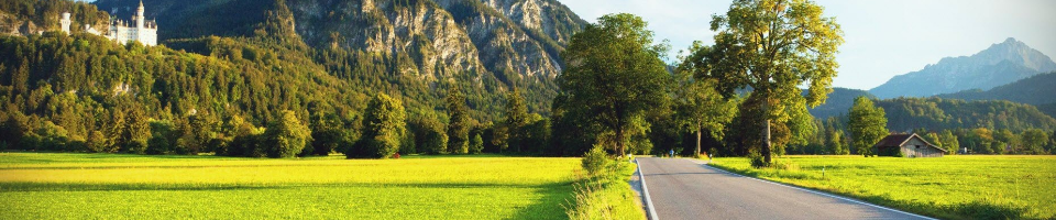 ব্যানার