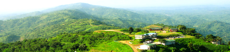 নীলগিরি