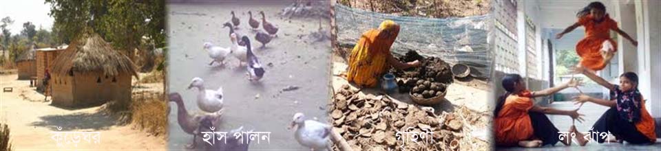 গ্রাম গঞ্জ