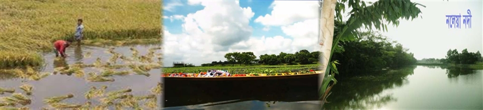 নদ-নদী