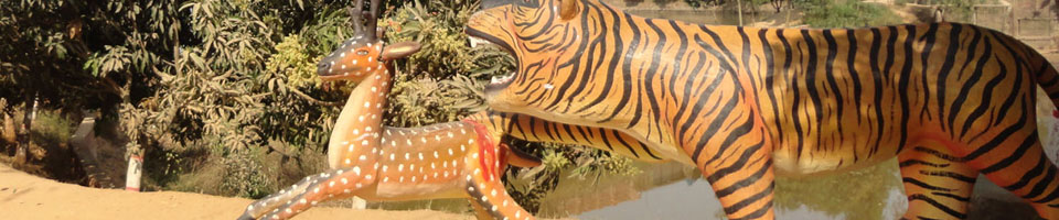 আনন্দ নগর