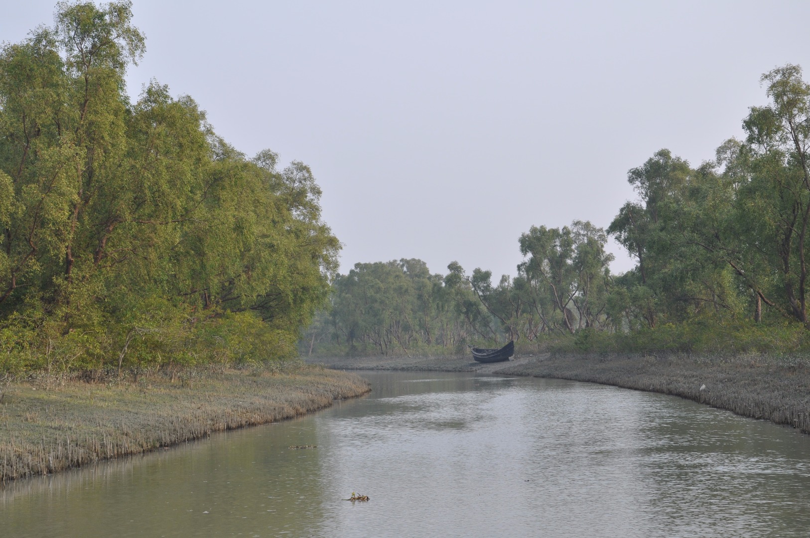 নিঝুম দ্বীপ