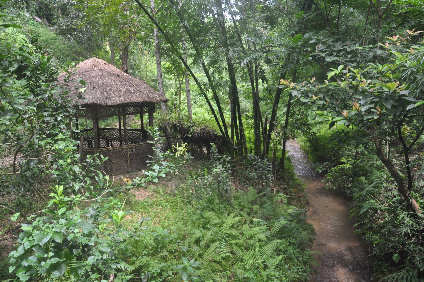 খাদিমনগর