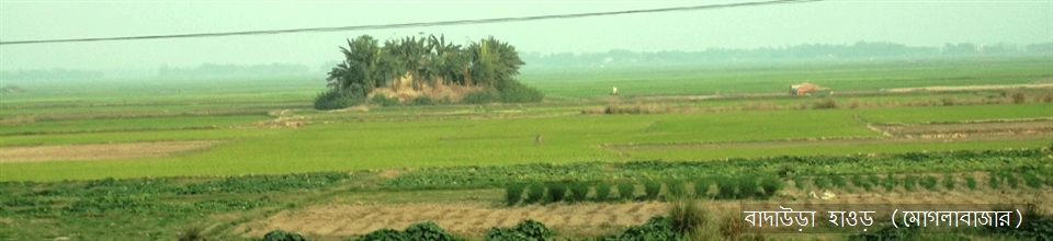 বাদাউড়া হাওড়