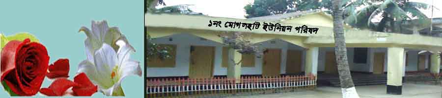 মোগলহাট ইউনিয়ন