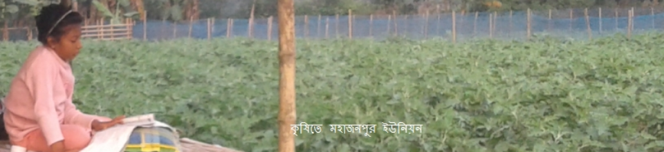 উৎপাদিত সবজি