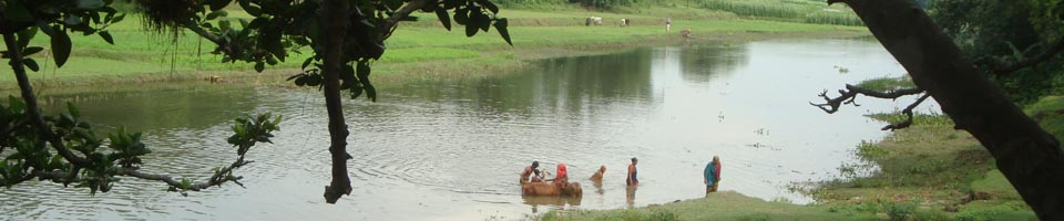 ভৈরব নদী