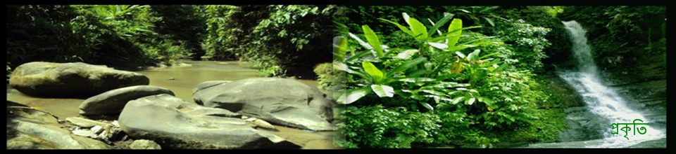 প্রকৃতি