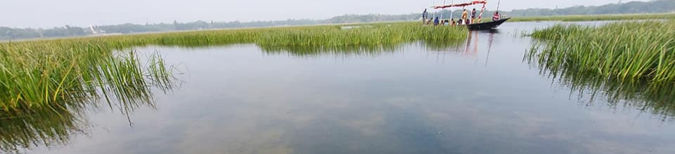 মহম্মদপুর ঘোপ বাউর