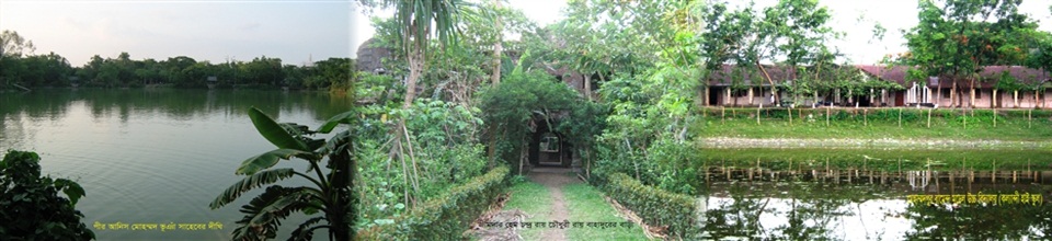 মোহাম্মদপুর