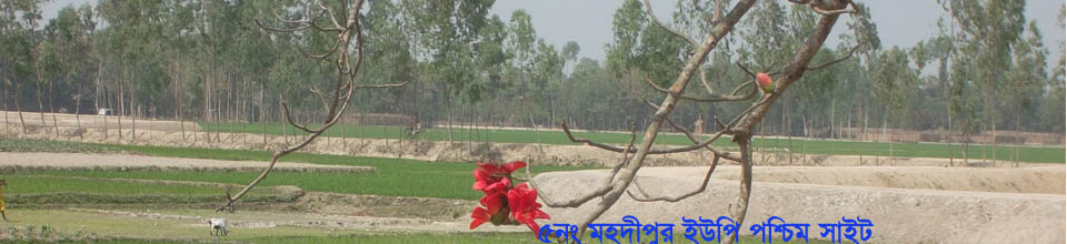 ব্যানার