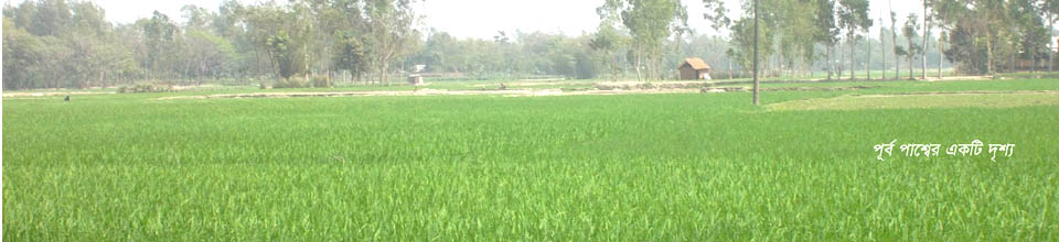 ব্যানার
