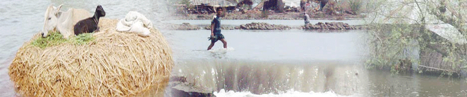 আইলা ২০০৯