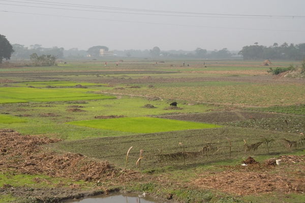 ভূমি