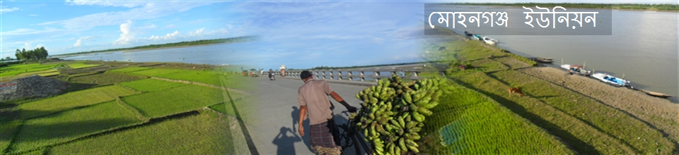 মোহনগঞ্জ ইউনিয়ন