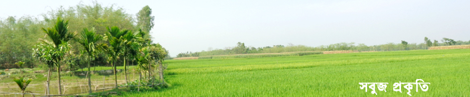 সবুজ প্রকৃতি