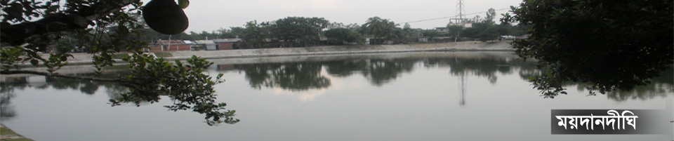 ময়দানদিঘী পুকুর