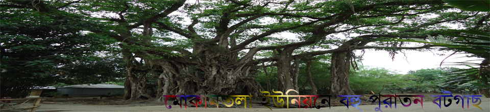 দাদার দাদাও নাকি এই বট গাছটি এমটি দেখেছেন।