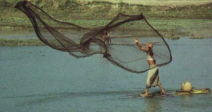 খাল বিলের ছবি