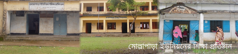 মোল্লাপাড়া ইউনিয়নের শিক্ষা প্রতিষ্ঠান
