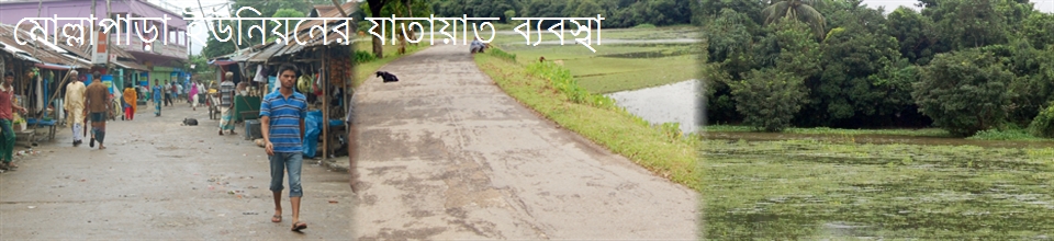 মোল্লাপাড়া ইউনিয়নের যাতায়াত ব্যাবস্থা