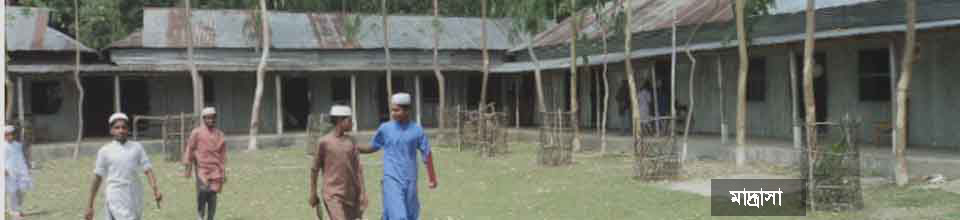 চিথুলিয়া দিগর মুহিয়ে সুন্নাহ সিনিয়র মাদ্রাসা