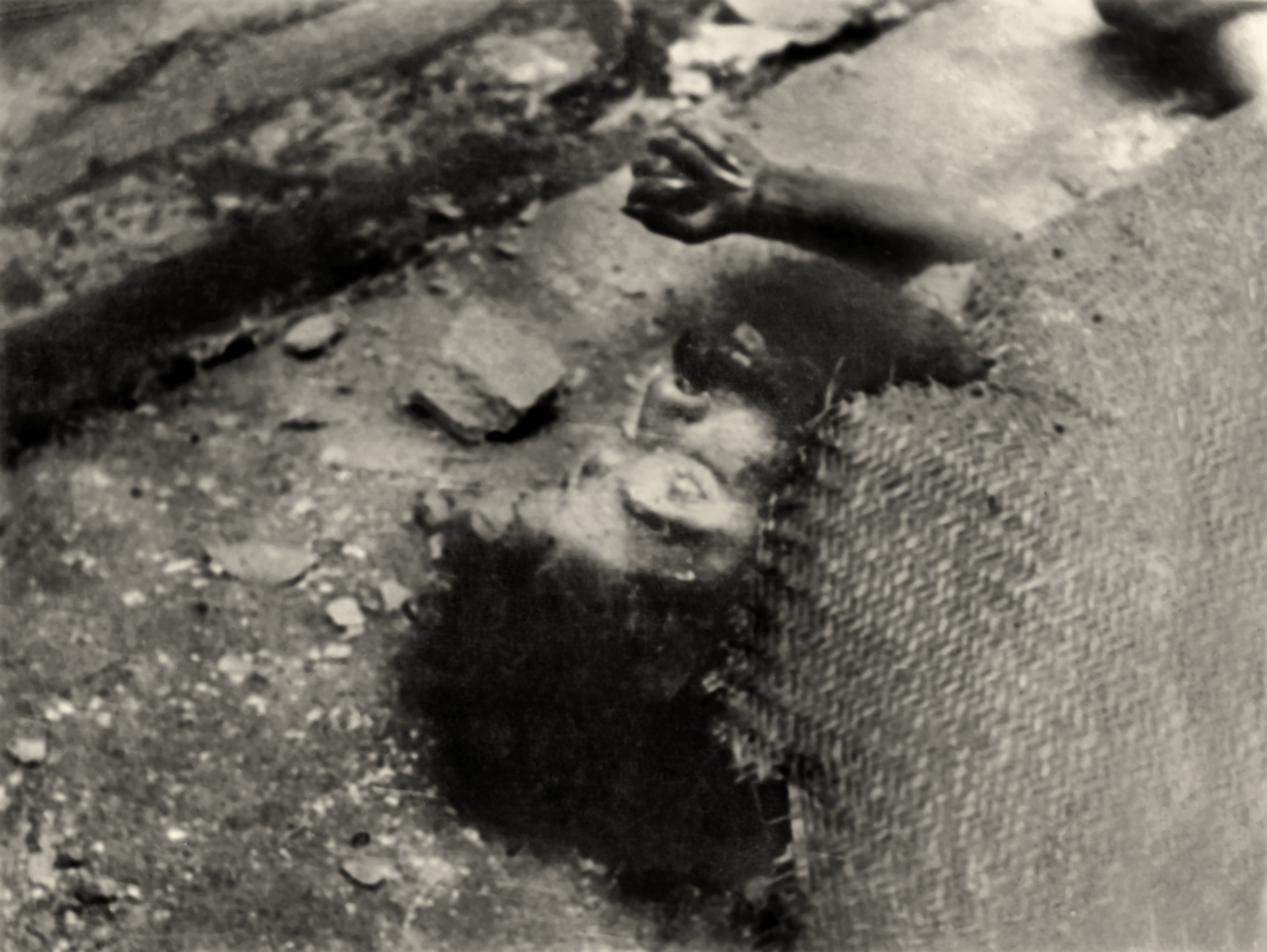 গনহত্যা,১৯৭১