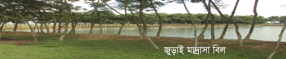 জুড়াই মাদ্রাসা বিল
