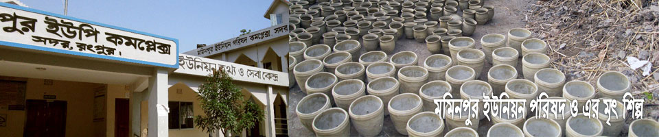 মমিনপুর ইউনিয়ন পরিষদ