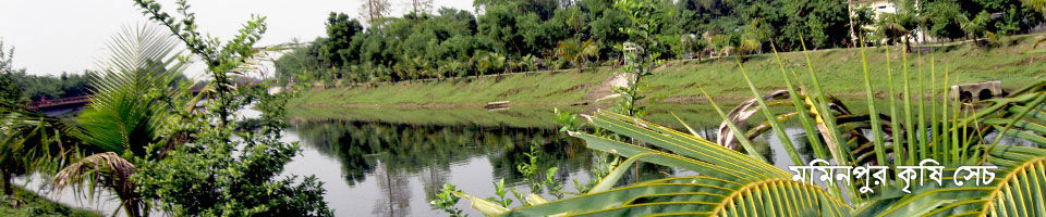 মমিনপুরে আসবে ভাই