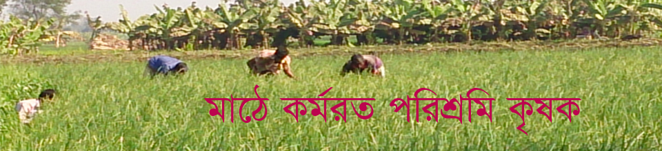 মোনাখালী ইউনিয়ন