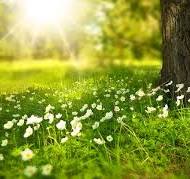 ব্যানার