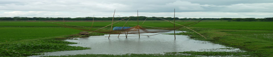 মনিয়ন্দ ইউনিয়ন প্রকূতি, কাখিনা বিল