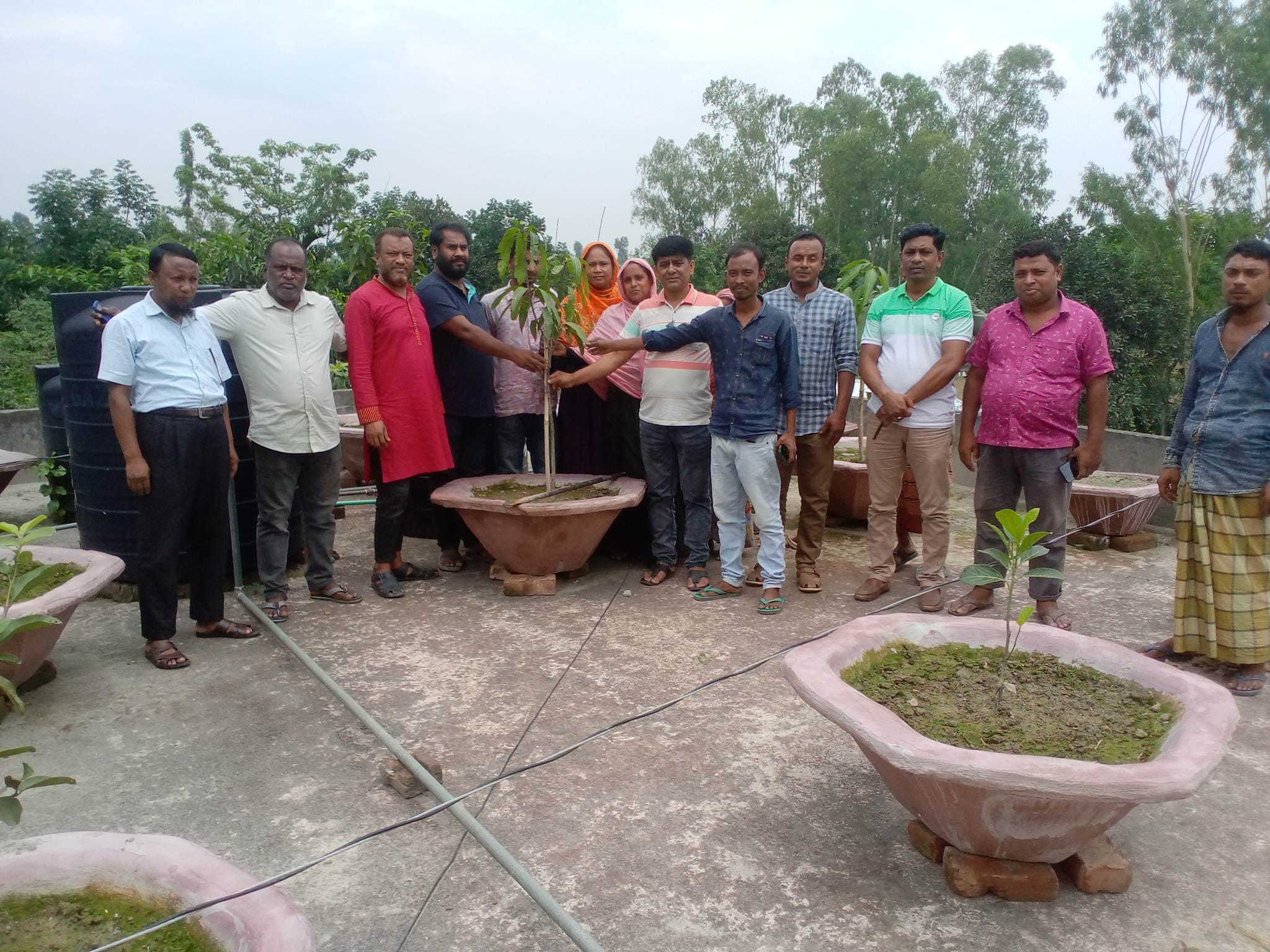 মনোহরপুর ইউপি ছাদ বাগান