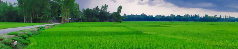 মনোহরপুর ইউনিয়ন প্রকৃতি