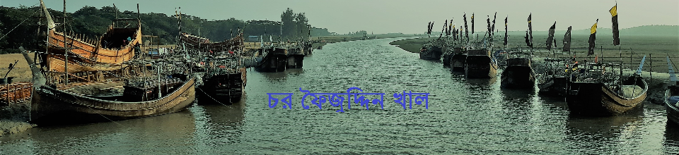 চর ফৈজুদ্দিন খাল